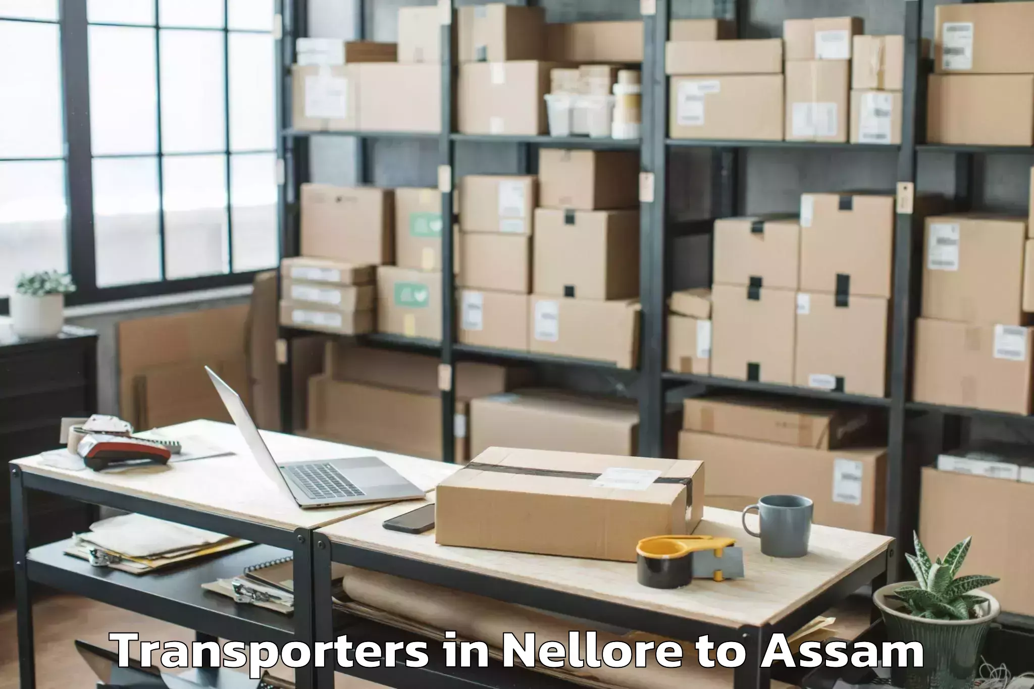 Quality Nellore to Rupsi Airport Rup Transporters